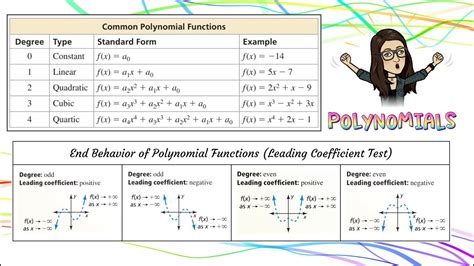 Polynomials Types Leading Coefficient Test And Sketching Polynomial Functions Youtube