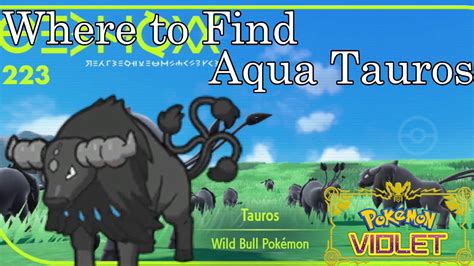 Pokemon Tauros