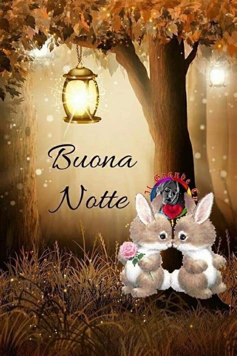 Pin Di Andrea Bratelli Su Buonanotte Auguri Di Buona Notte Buona