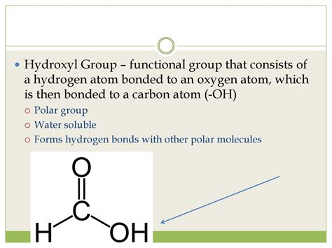 Carbon and Molecular Diversity - ppt download