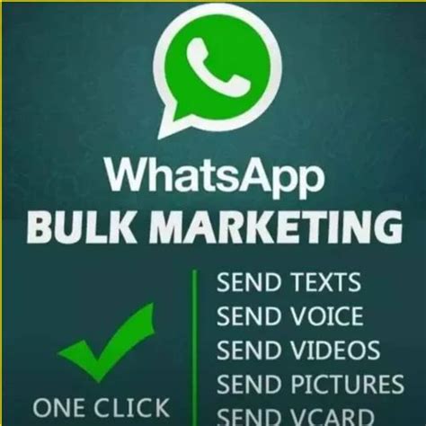 Text Whatsapp Marketing Service For Promotional At In Nagpur