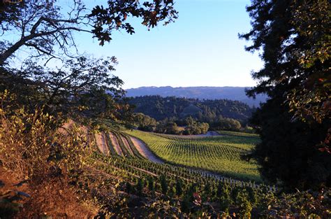 Spring Mountain Vineyard Producer Profile And 10 Wines To Try Decanter