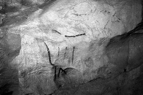 Grotte De Mayenne Sciences Thorign En Charnie Mayenne Deux Chevaux