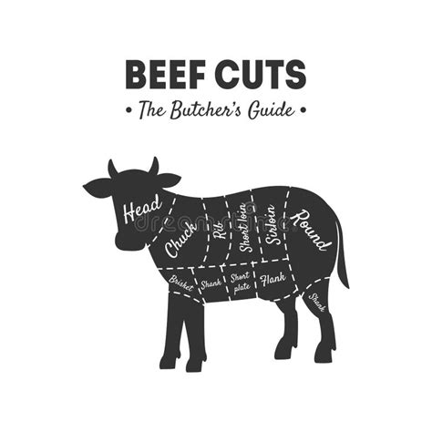 Beef Cuts Butchers Guide Meat Shop Label Farm Animal With Meat Cuts