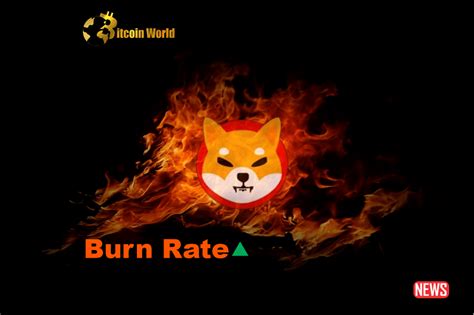 Shiba Inu Burn Rate Skyrockets 39000 After Mysterious Wallet Burns 1