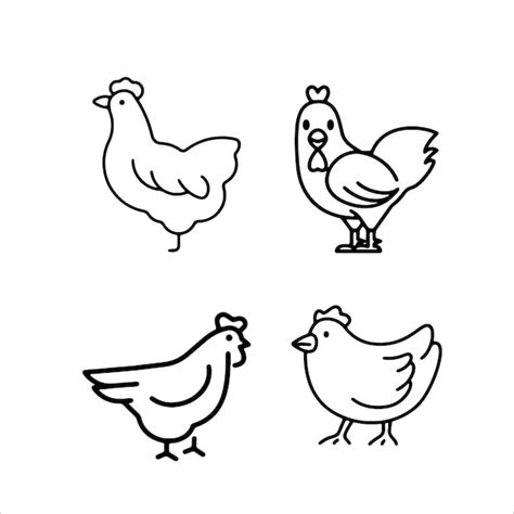 Premium Vector Chicken And Poultry Line Icon