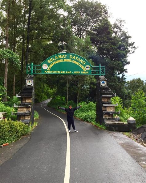 Pintu Masuk Wisata Gunung Bromo Kaya Panorama Alam