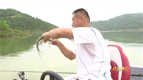 野外钓鱼视频高清 路亚能钓什么淡水鱼 三农视频 搜狐视频