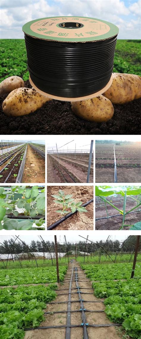 1 Hectare Drip Irrigation System Drip Tape With Flat Emitter Irrigation