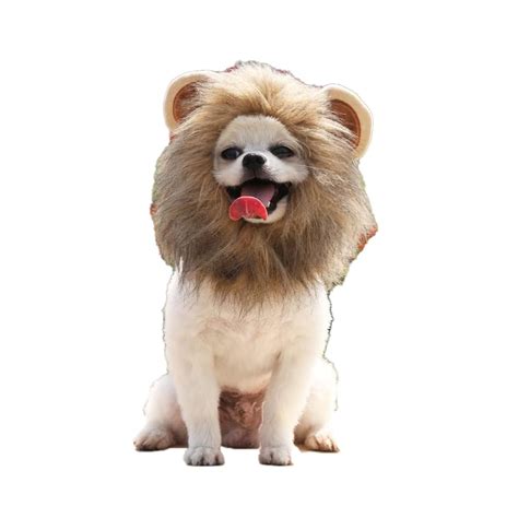 Buy Dog Lion Mane - Funny Lion Mane for Dogs - Complementary Lion Mane for Dog Costumes - Lion ...