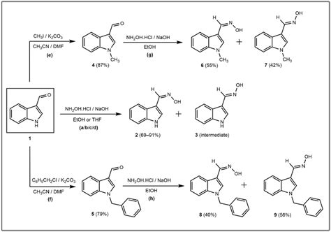 Scheme Synthesis Of Indole Carbaldehyde Oxime Derivatives And