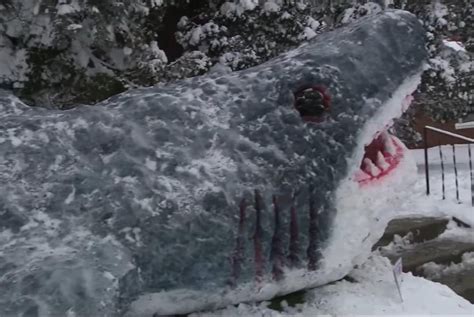 Iowa man's snow shark sculpture becomes a local tourist attraction ...