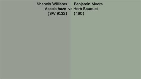 Sherwin Williams Acacia Haze Sw Vs Benjamin Moore Herb Bouquet