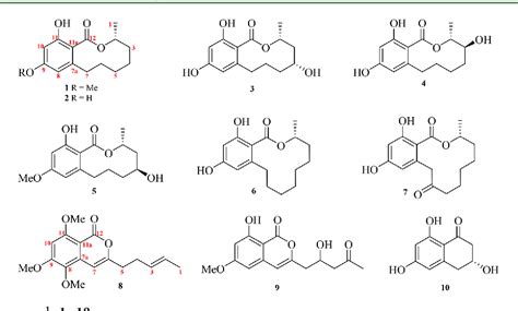 Figure 1 From Bioactive Resorcylic Acid Lactones With Different Ring