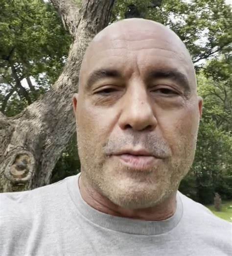 Joe Rogan Reveals He Has Covid And Has Taken Cocktail Of Drugs