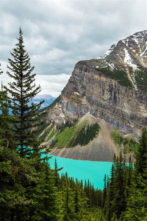 Insane Views On The Lake Agnes And Big Beehive Hike Banff National Park