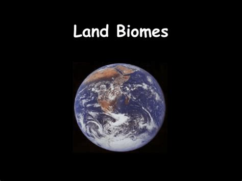 Land Biomes Biology Junction