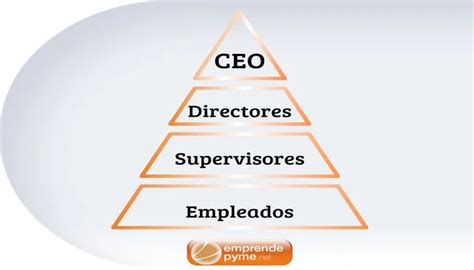 Estructura Organizativa De La Empresa Cual Elegir Y Tipos