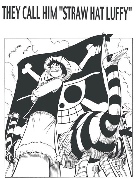 Who Gave Luffy His Hat