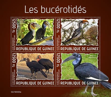 GUINEA 2019 Hornbills Perf 4v Sheet Mint Never Hinged Africa