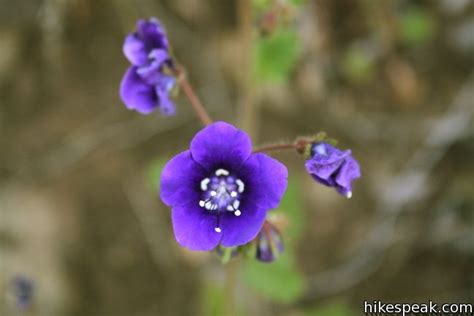 The Grotto Trail | Malibu | Hikespeak.com