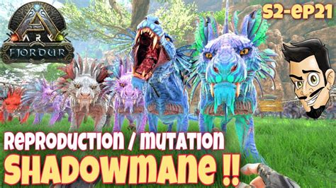 Accouplement Reproduction Breeding Et Mutations De Shadowmane Ark