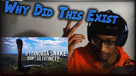 What If Titanoboa Snake Didn T Go Extinct Reaction Youtube