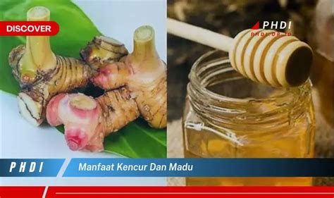 Temukan 7 Manfaat Kencur Dan Madu Yang Bikin Kamu Penasaran