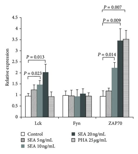 SEA Increases Lck And ZAP70 Expression In Jurkat Cells A Western