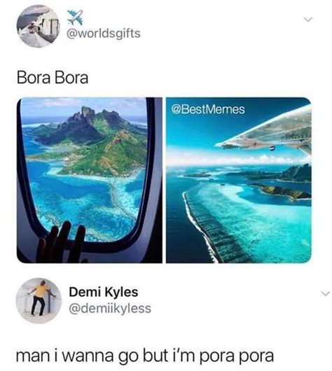 fantastic funny pics  memes