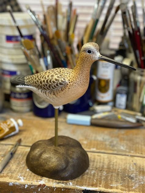 Mark Daisey Dowitcher Shorebird Decoy Decoy Carving Bird Carving