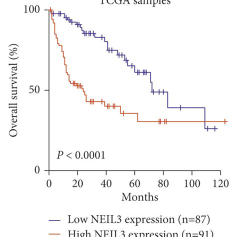 Kaplanmeier Survival Curves According To Neil3 Expression In Hcc Download Scientific Diagram