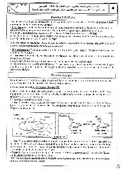 Examen National SVT 2ème BAC SVT 2023 Rattrapage Sujet AlloSchool