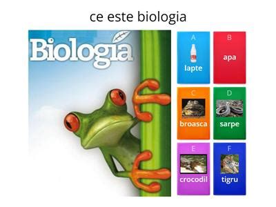 Clasa 10 Biologie Fotosinteza Resurse Didactice