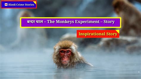 The Monkeys Experiment Unveiling The Shocking Twist Hindi