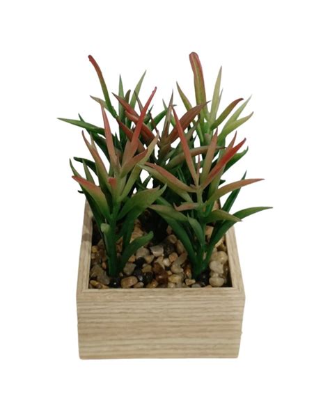 Succulent Plant With Wooden Pot Table Size Faux Ferns And Philo