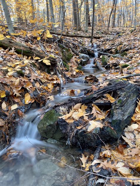 Late Fall on Snake Mountain : vermont