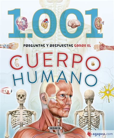 Preguntas Y Respuestas Sobre El Cuerpo Humano Vv Aa