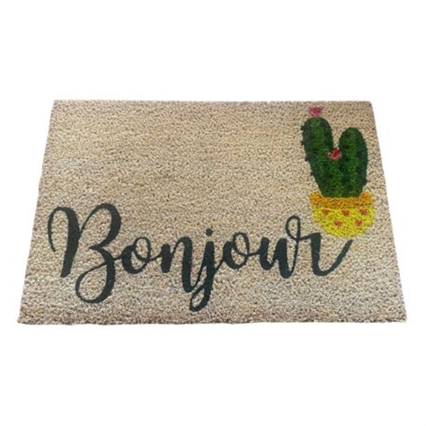 NOVOTEX Tapis Coco Kaktus Envers PVC 40x60 Cm Ce Paillasson NOVOTEX