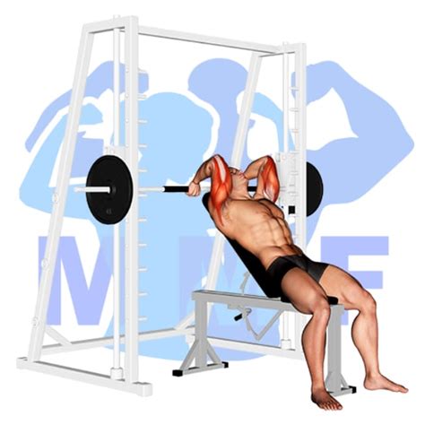 Cable Tricep Kickbacks: Your Guide To Great Form And Rapid Gains