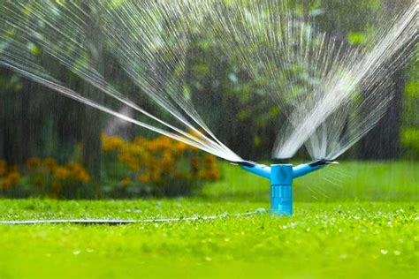 Best Time To Fertilize Lawn Before Or After Rain