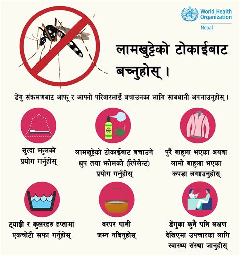 Responding To Dengue Outbreak In Nepal