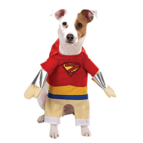 Superhero Dog Halloween Costume by Casual Canine | BaxterBoo