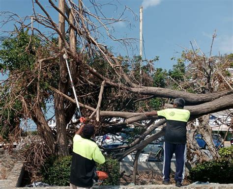 Continúa Gobierno de Abelina López Rodríguez con limpieza en zona