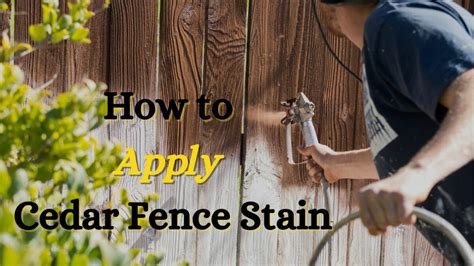 Cedar Fence Stain • Fence Makeovers 2025