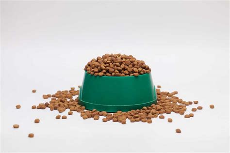 Low Protein Dog Food - bestdogfood.com