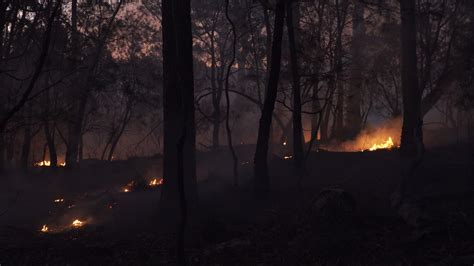 This Indigenous Led Organisation Is Preventing Future Fires With