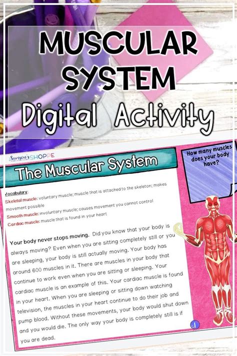 Muscular System Human Body Distance Learning Students Will Use