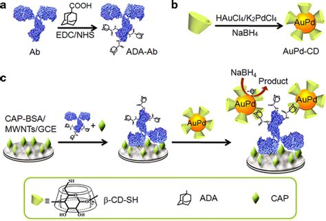 Signal Amplification For Highly Sensitive Immunosensing Springerlink