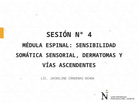 Ppt Sesion M Dula Espinal Dokumen Tips